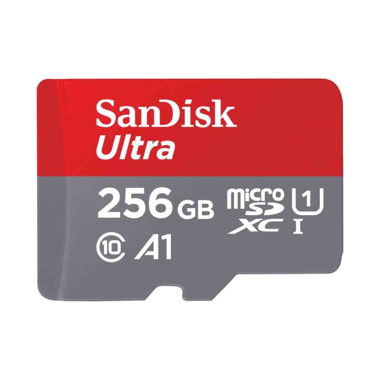 Sandisk-256-Gb-class-10