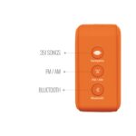 Saregama Carvaan Mini 2.0 Shrimad Bhagavad Gita (Saffron Orange)